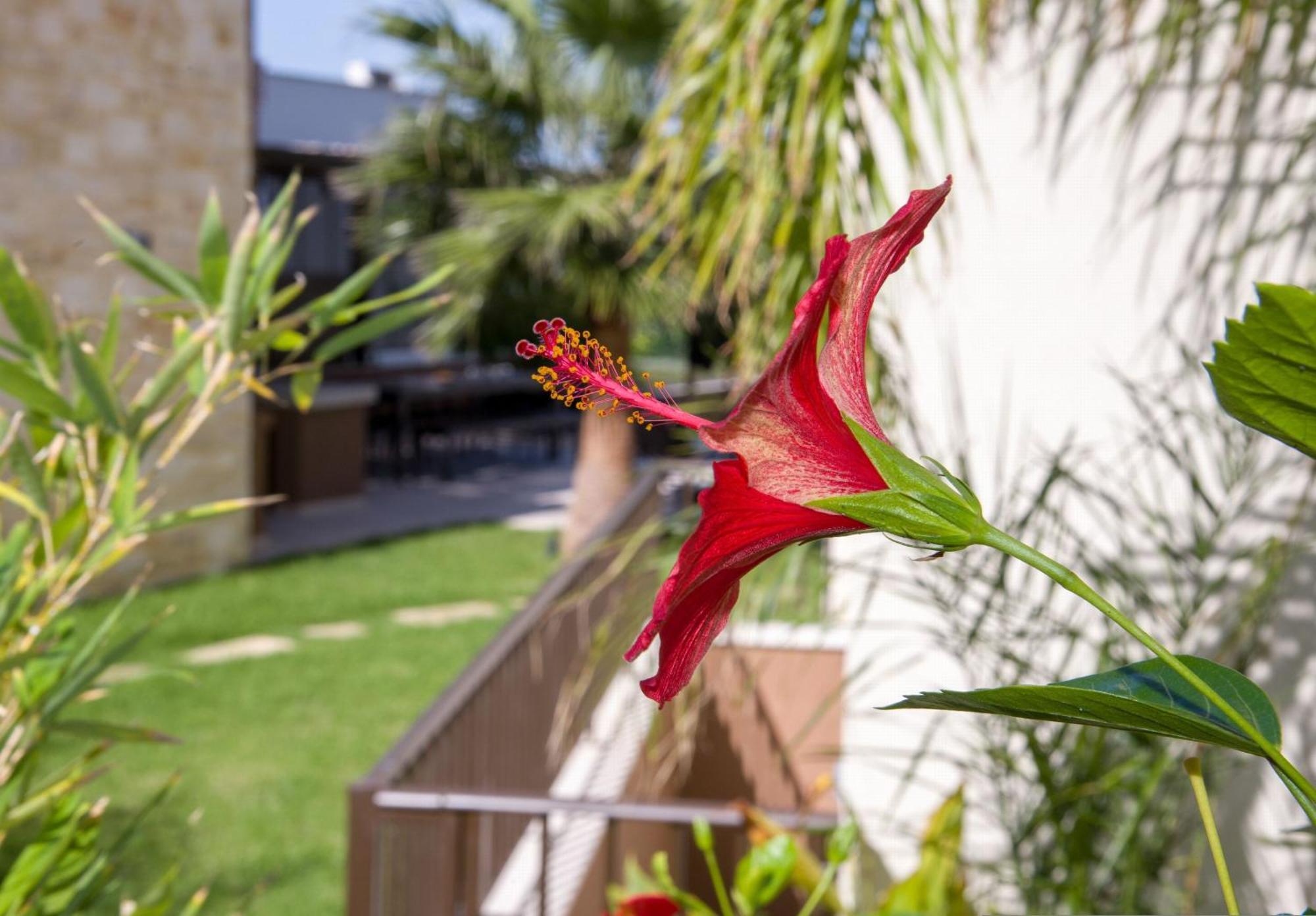 Almi-Cove Hilltop Villas Almirída Kültér fotó